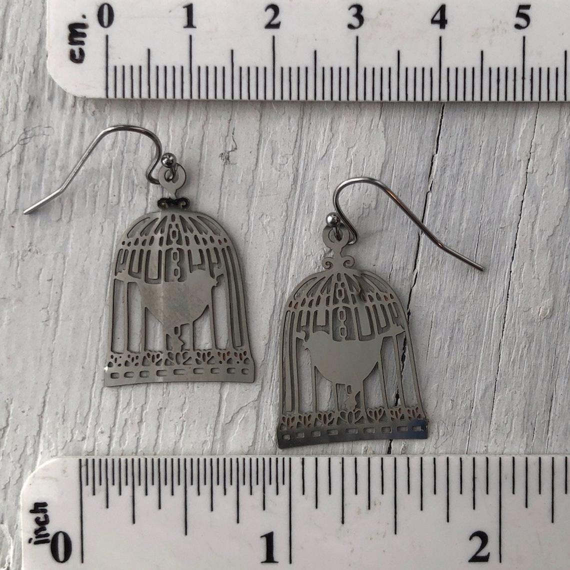 Birdcage Earrings – Stainless Steel, French Hook, Lightweight