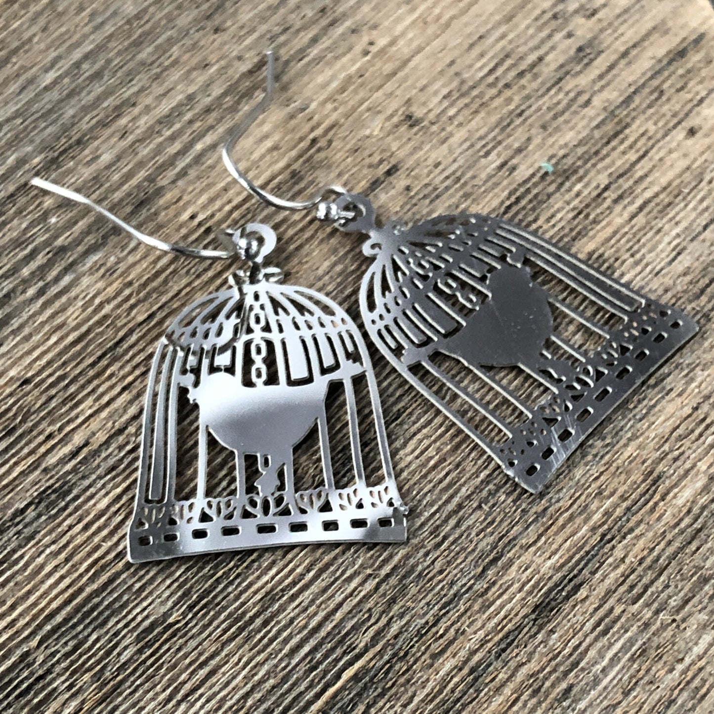 Birdcage Earrings – Stainless Steel, French Hook, Lightweight