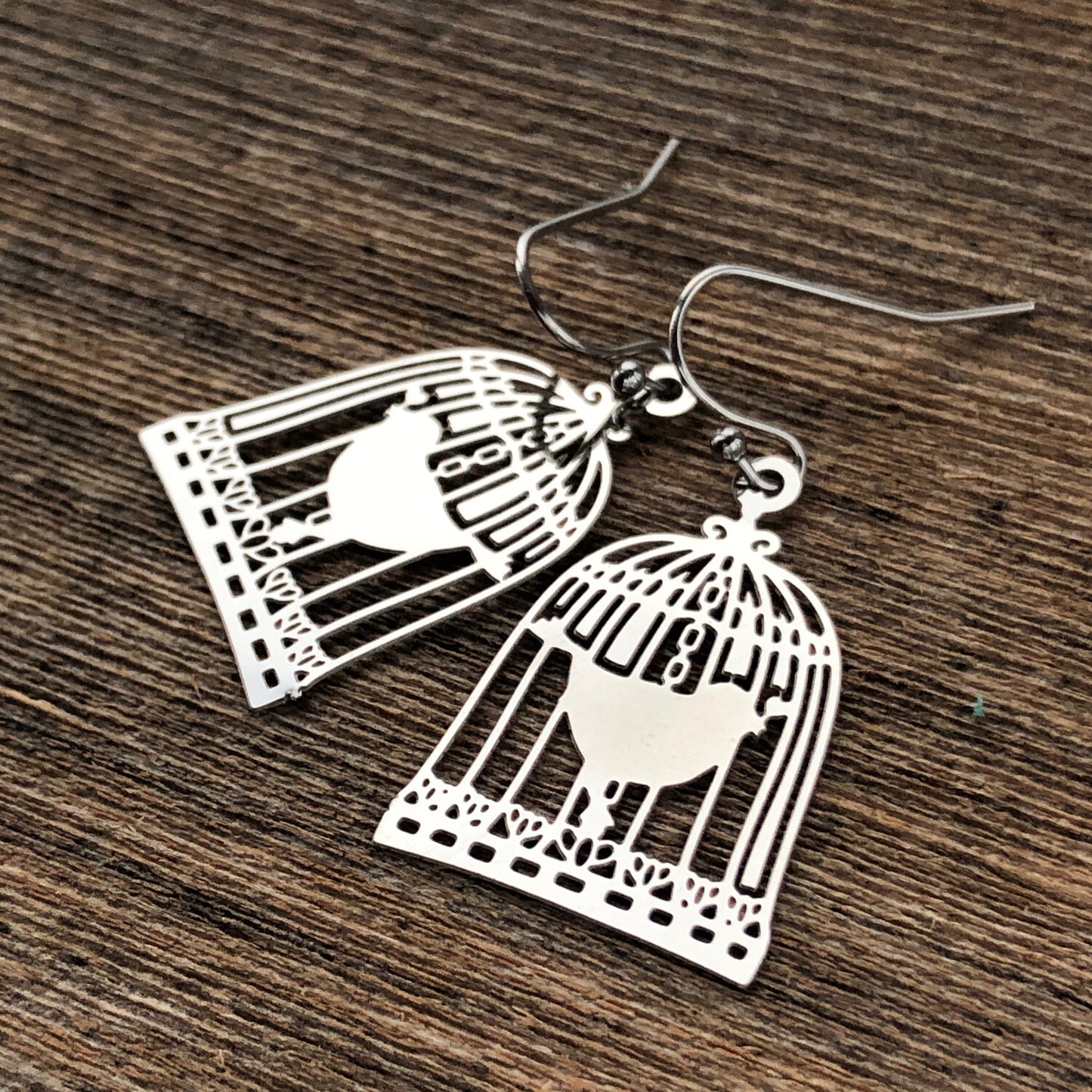 Birdcage Earrings – Stainless Steel, French Hook, Lightweight